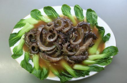 刺身で食べるナマコ 株式会社海王物産 北海道の食 観光資源を世界へ