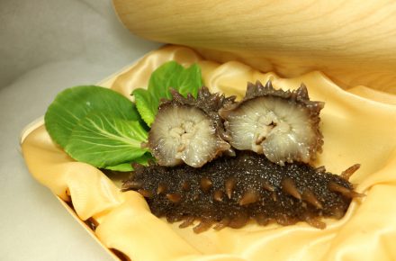 食用 ナマコ 種類は 株式会社海王物産 北海道の食 観光資源を世界へ